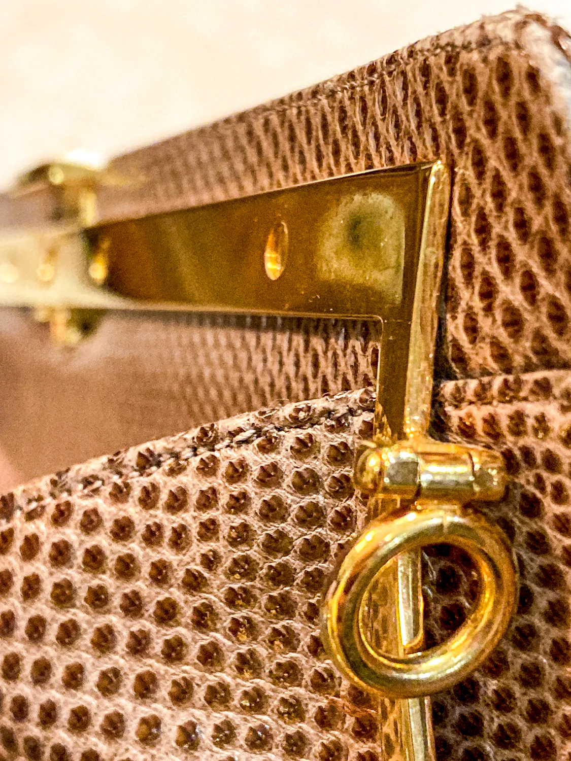 Vintage Judith Leiber Horn Lizard Leather Beige Handbag Clutch Crossbody Purse - Image 26